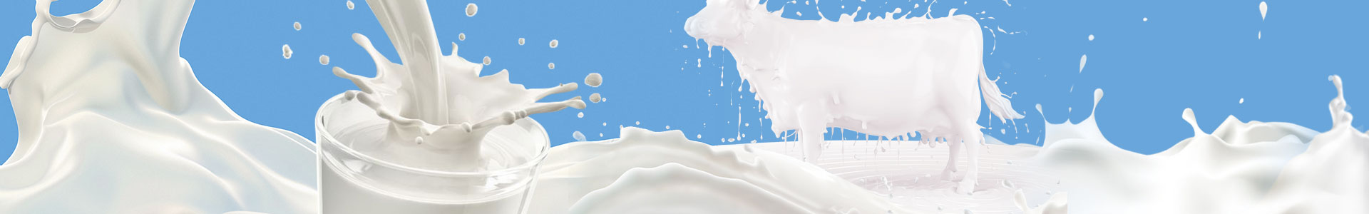 Línea De Pasteurización